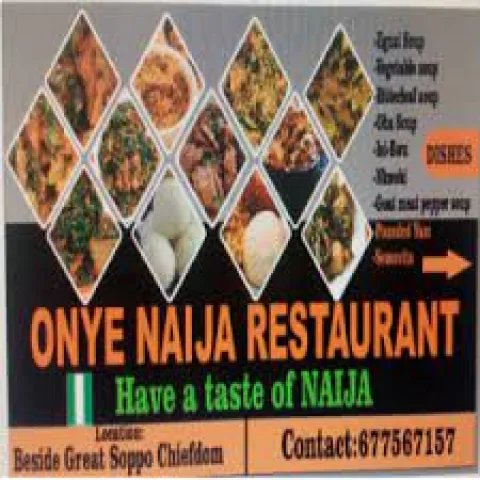 ONYE NAIJA 