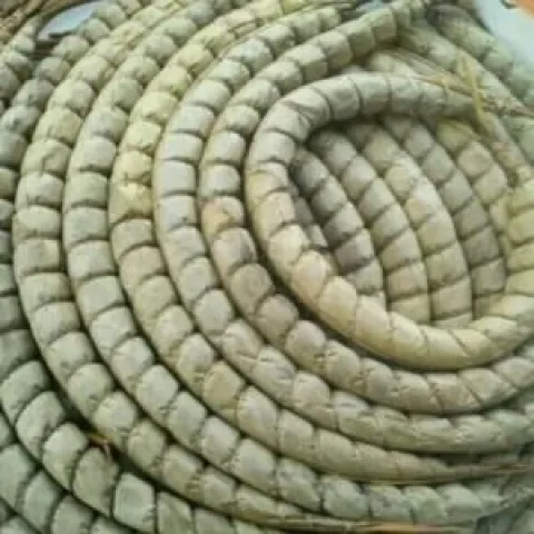 Miondo