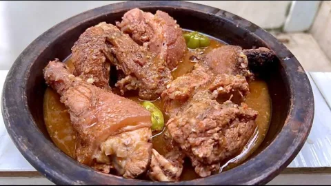 Viande de brousse