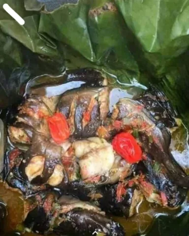 Ndomba