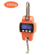 Balance à ressort - Écran LCD - 300kg, 1