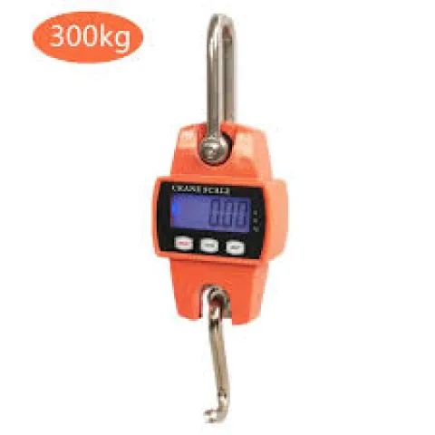 Balance à ressort - Écran LCD - 300kg,