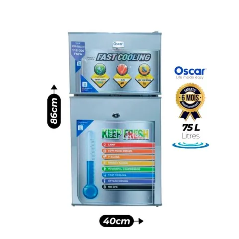 Mini réfrigérateur Oscar - 75 Litres - R110 - Gris