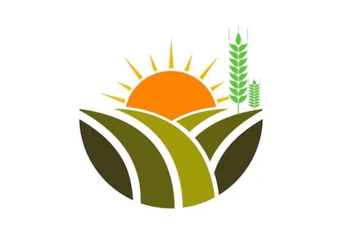 NDENGA DIEUDONNE SERVICE logo