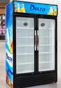 Delta double door freezer 1